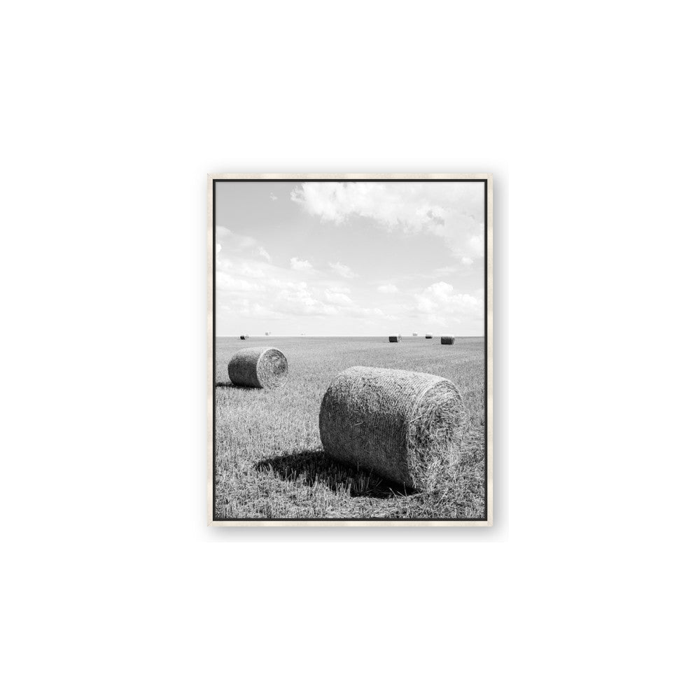 Hay Bail