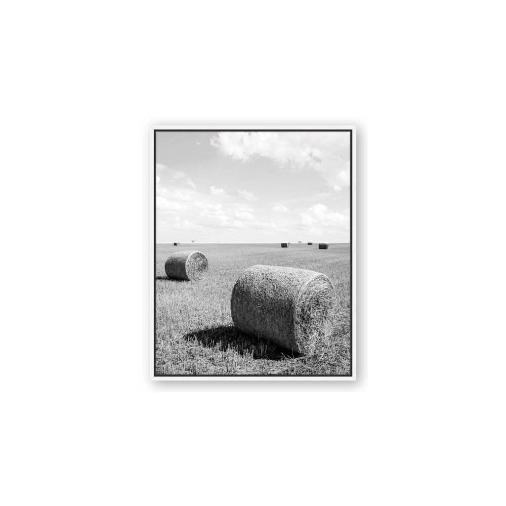 Hay Bail