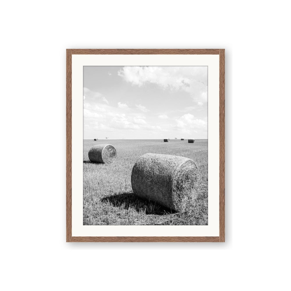 Hay Bail