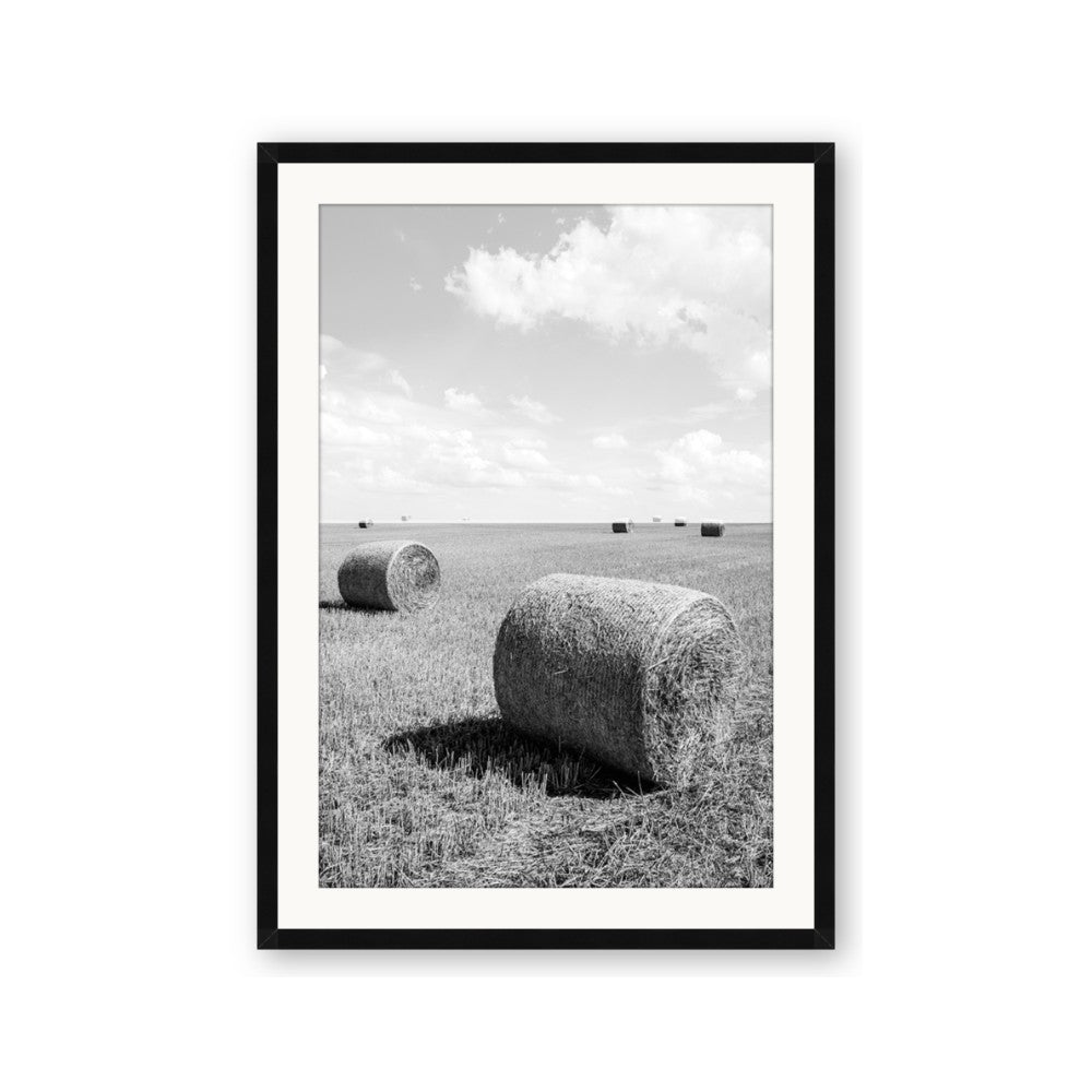 Hay Bail