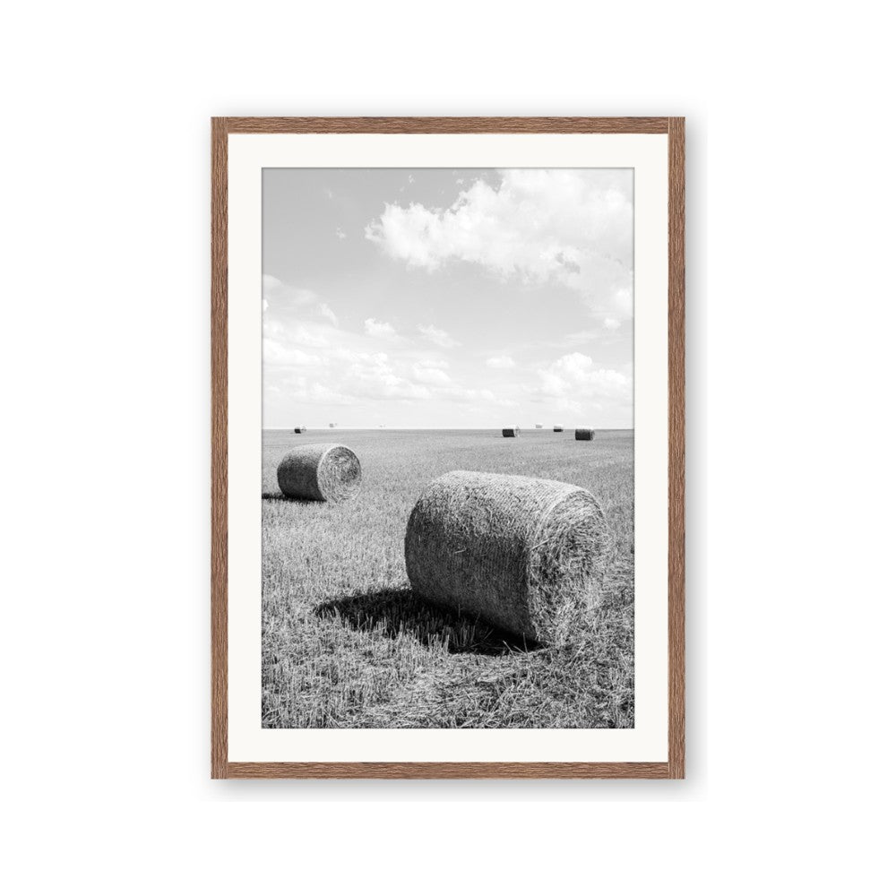 Hay Bail