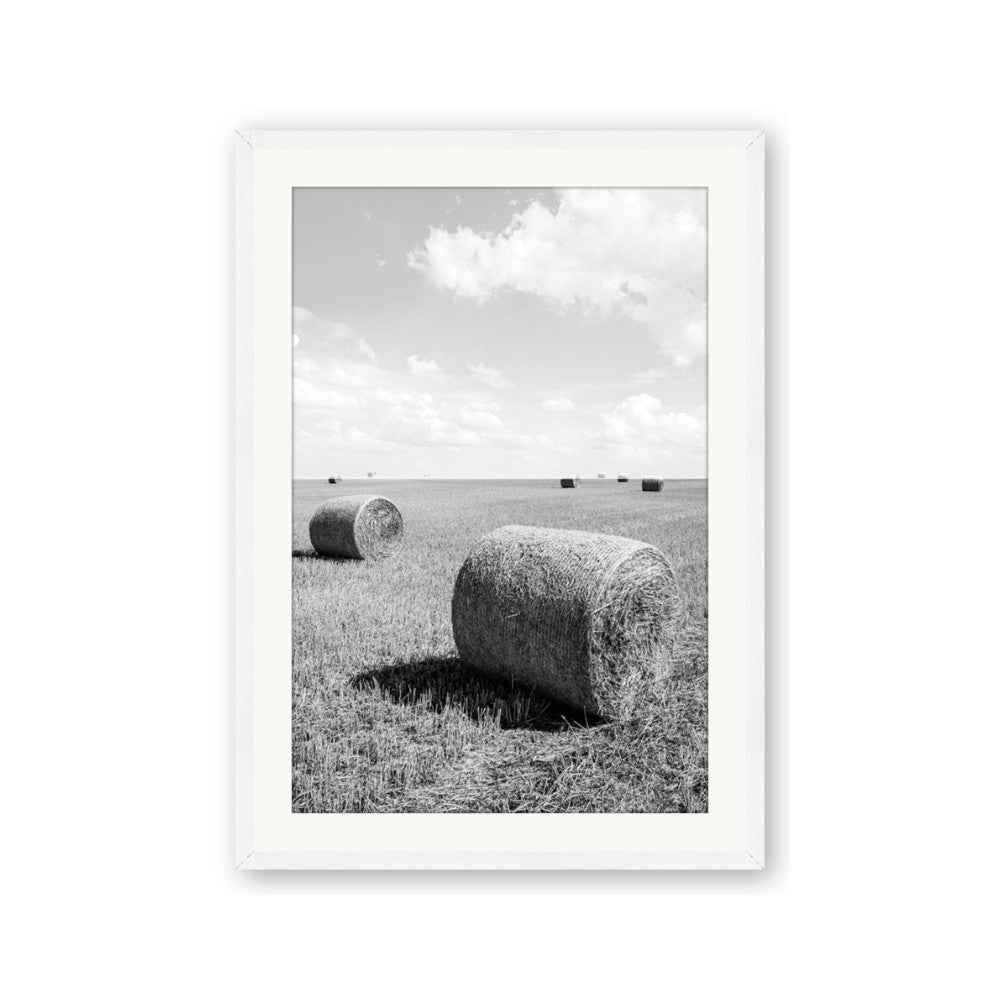 Hay Bail
