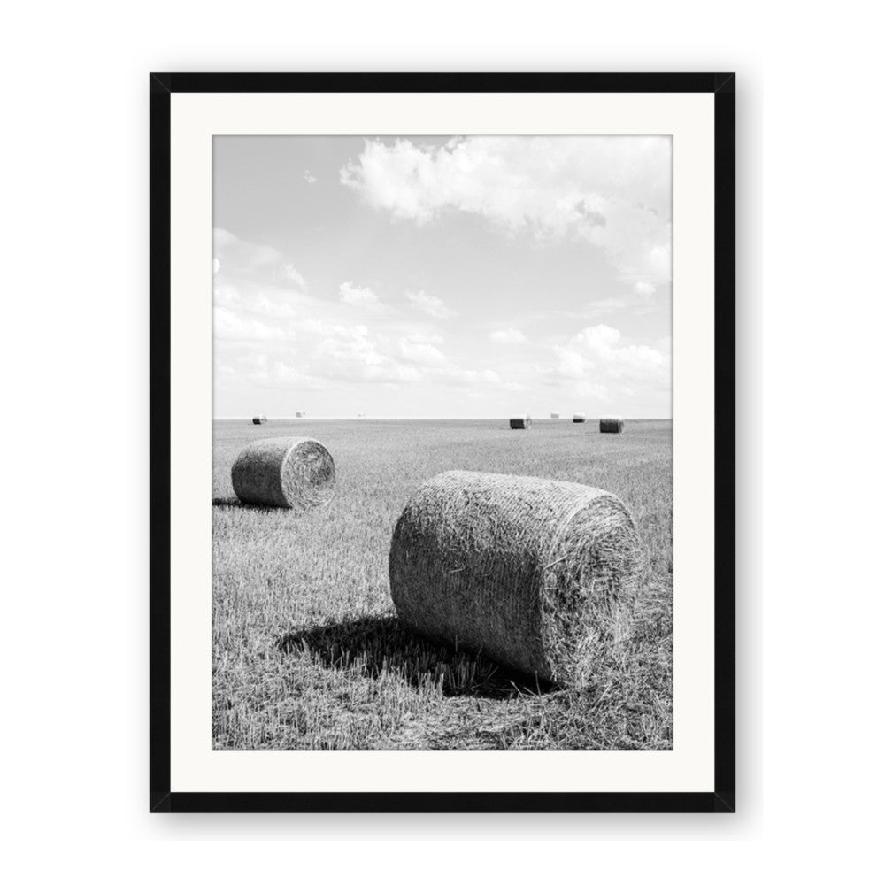 Hay Bail