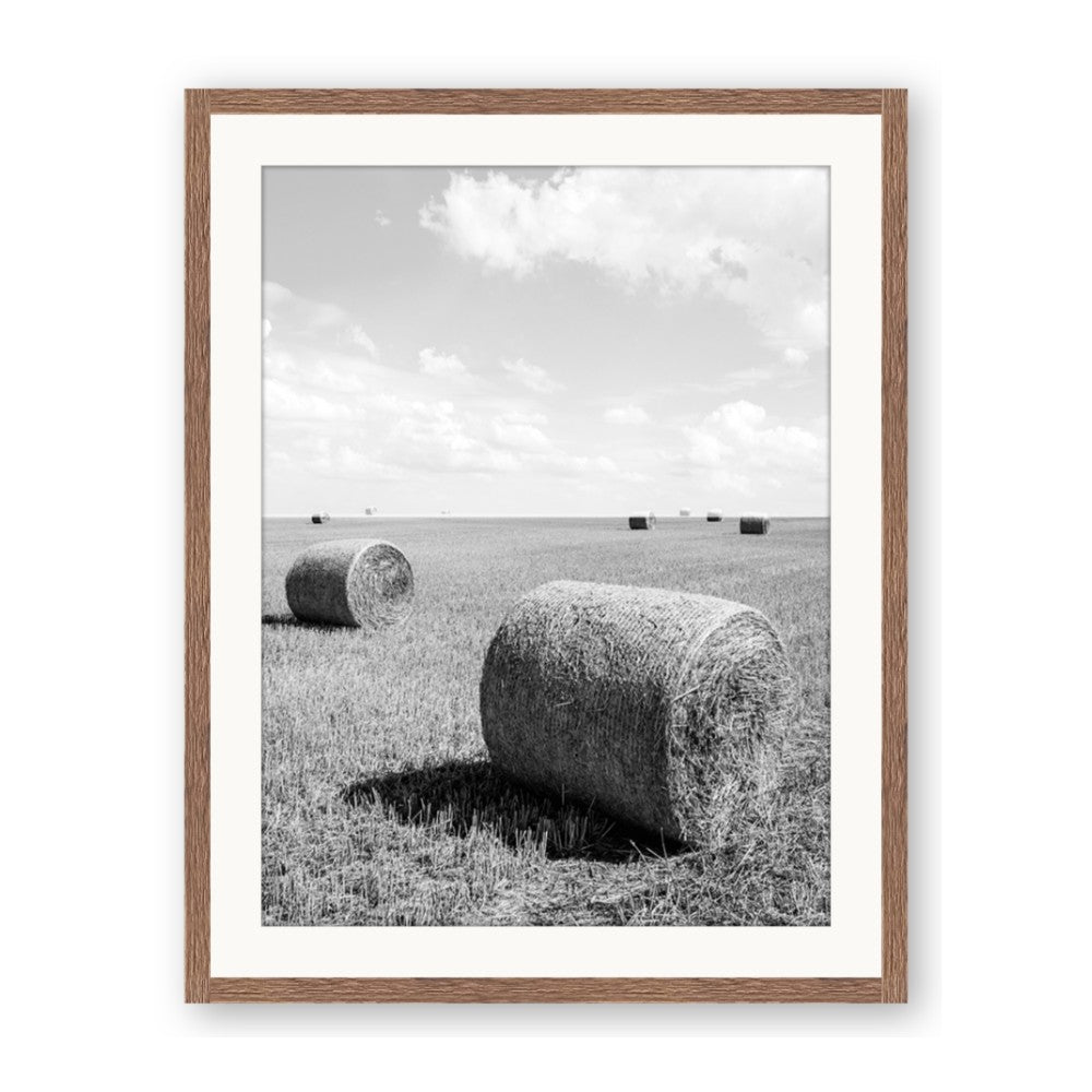Hay Bail
