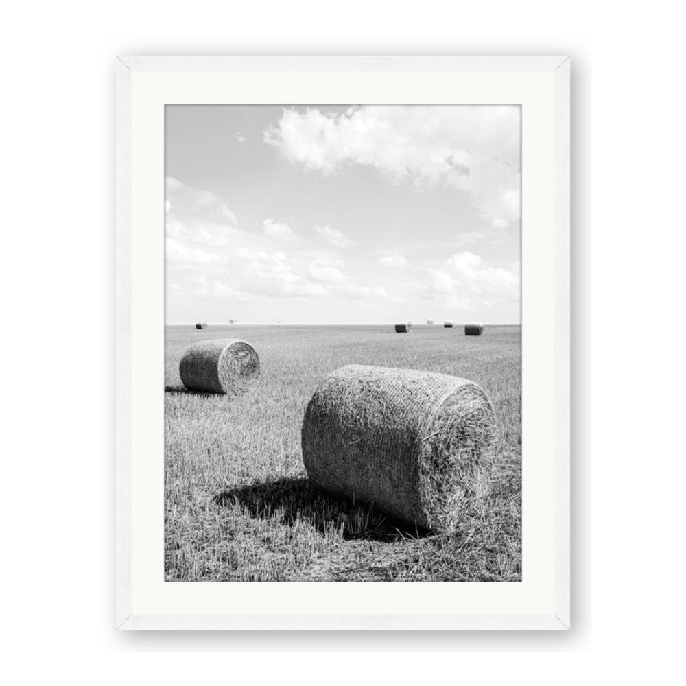 Hay Bail