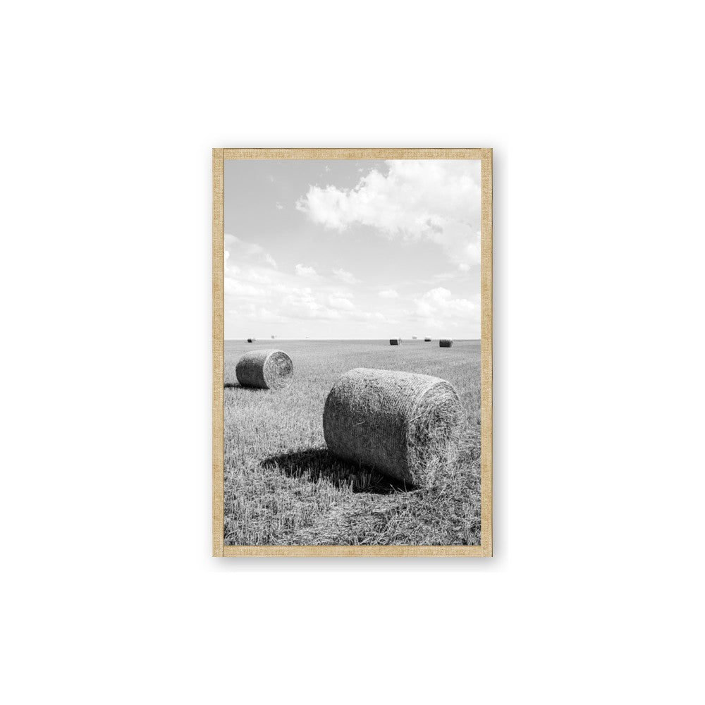 Hay Bail