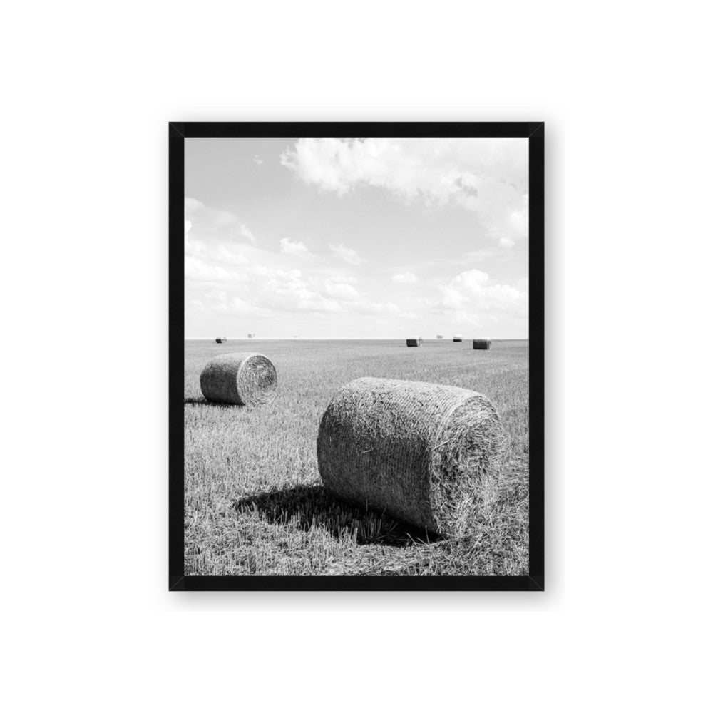 Hay Bail