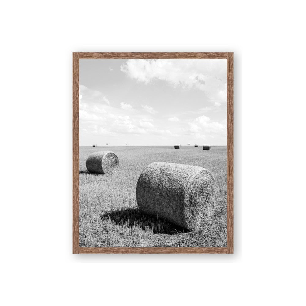 Hay Bail