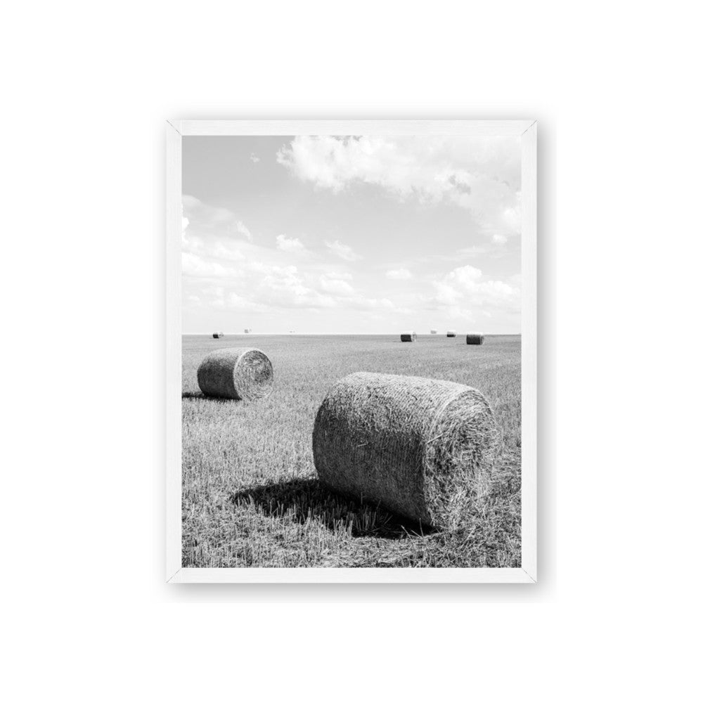 Hay Bail