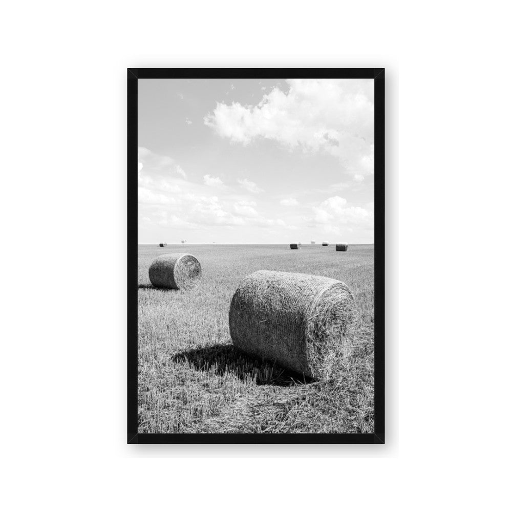 Hay Bail