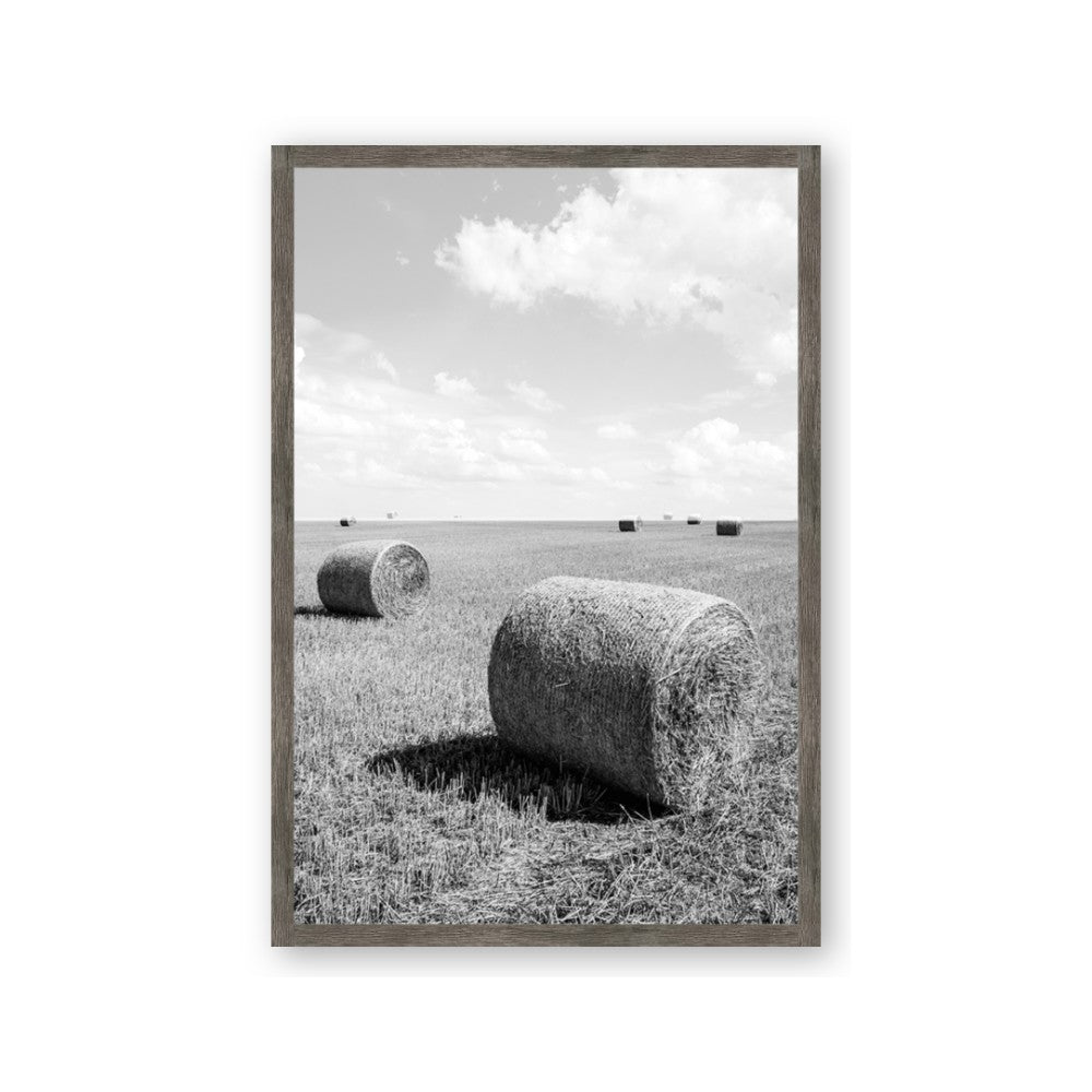 Hay Bail