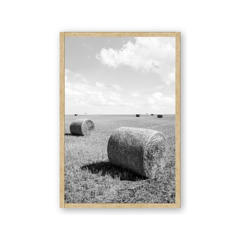 Hay Bail