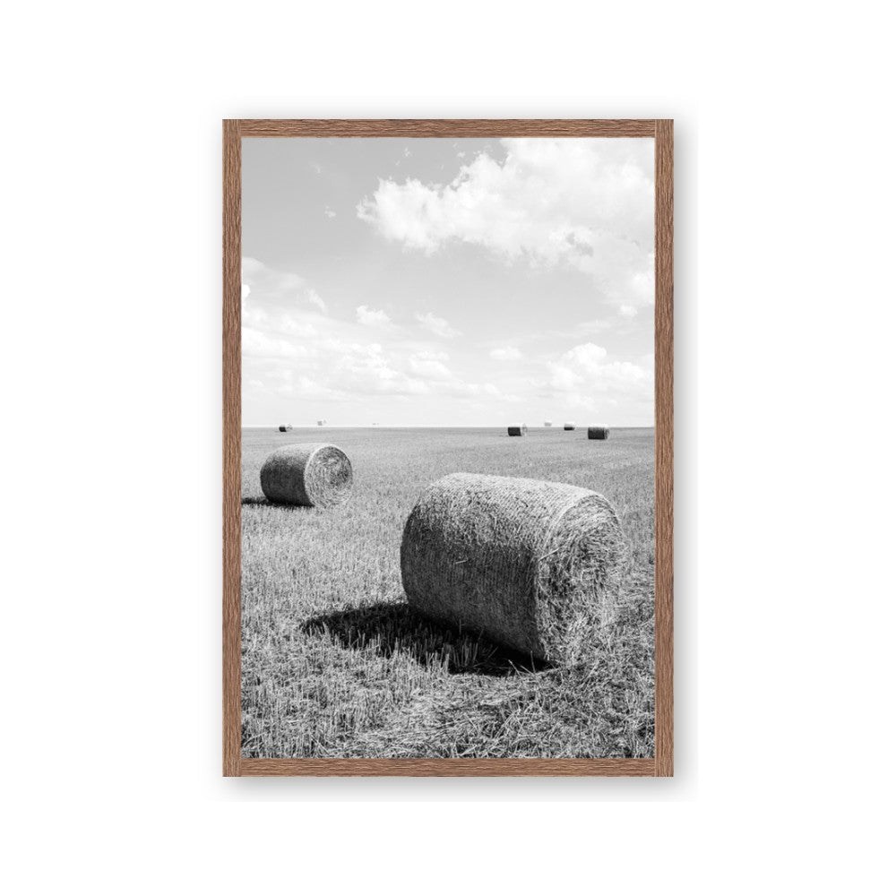 Hay Bail