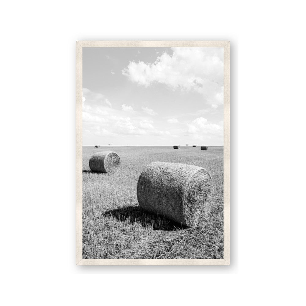 Hay Bail