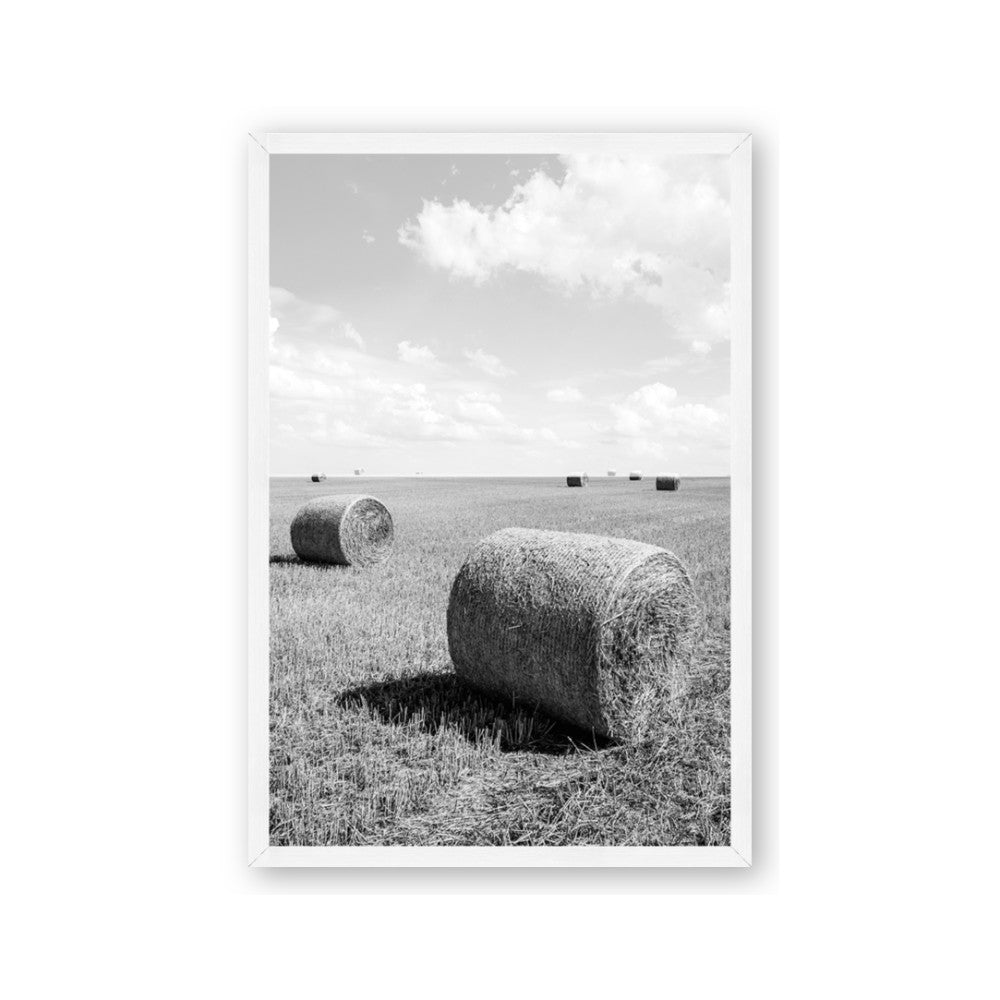 Hay Bail