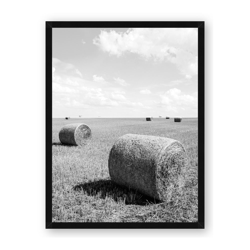 Hay Bail