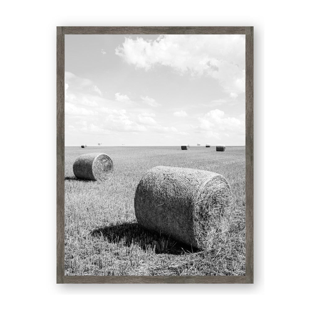 Hay Bail