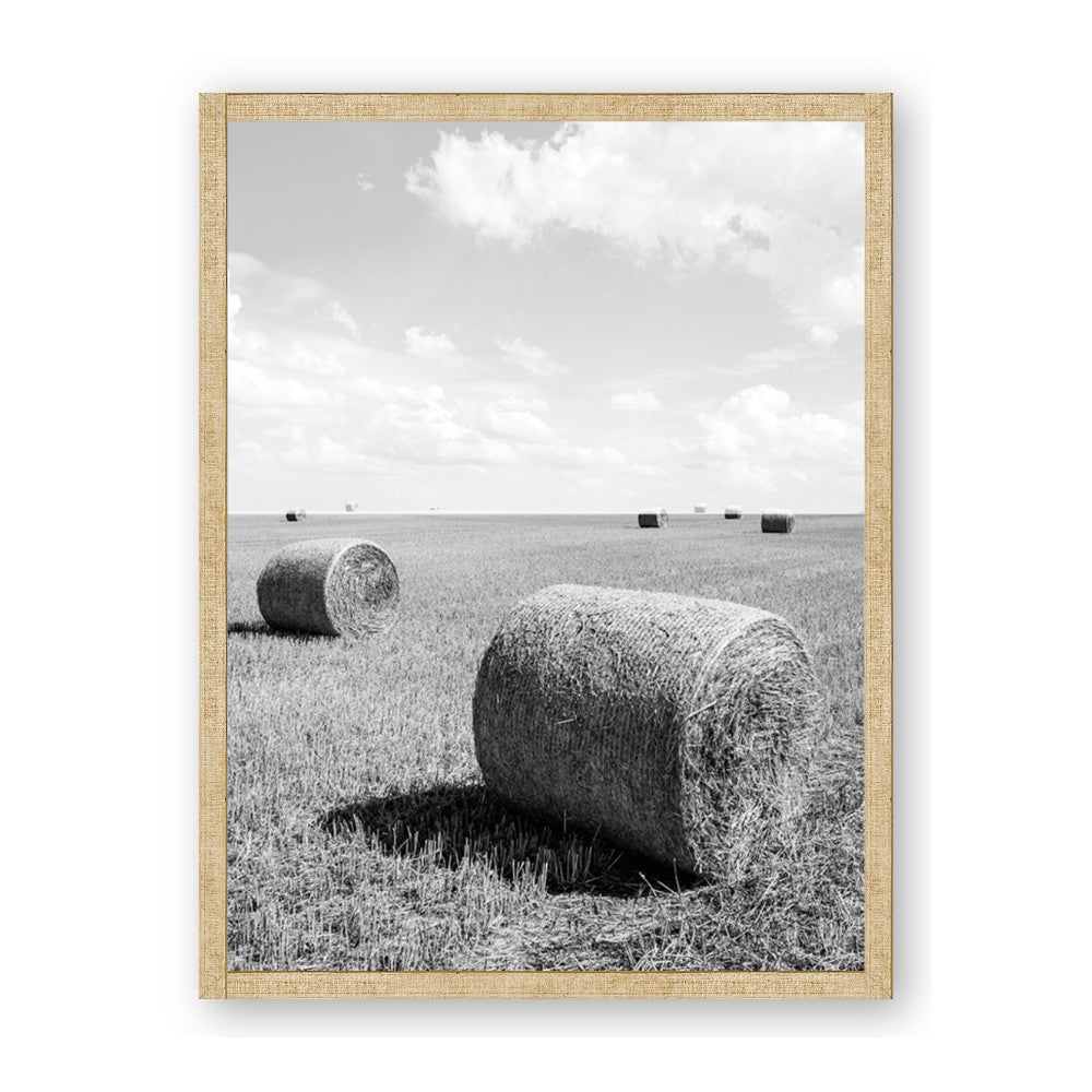 Hay Bail