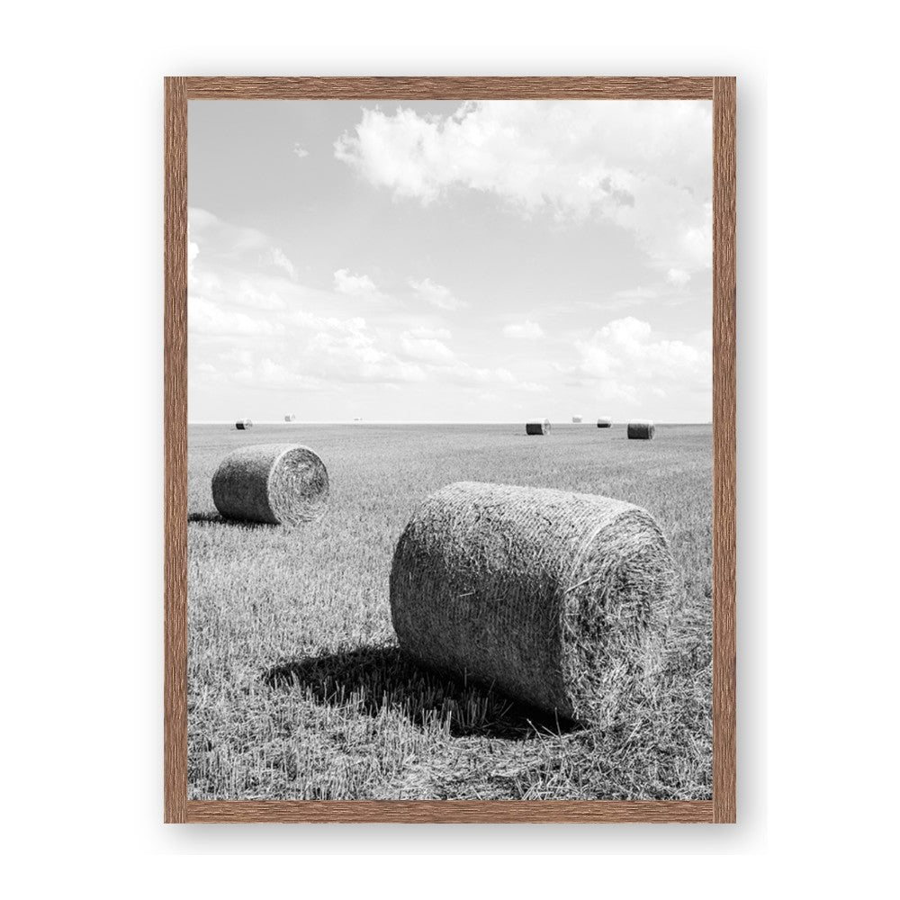 Hay Bail