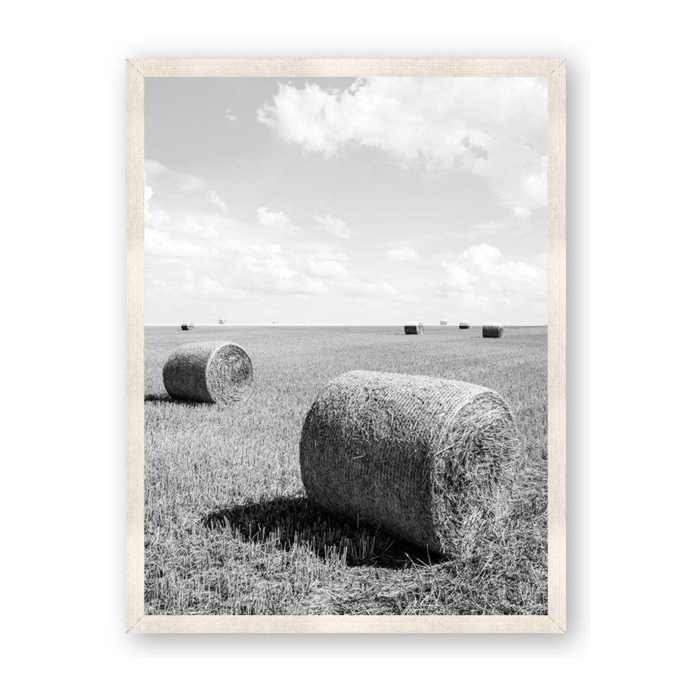 Hay Bail