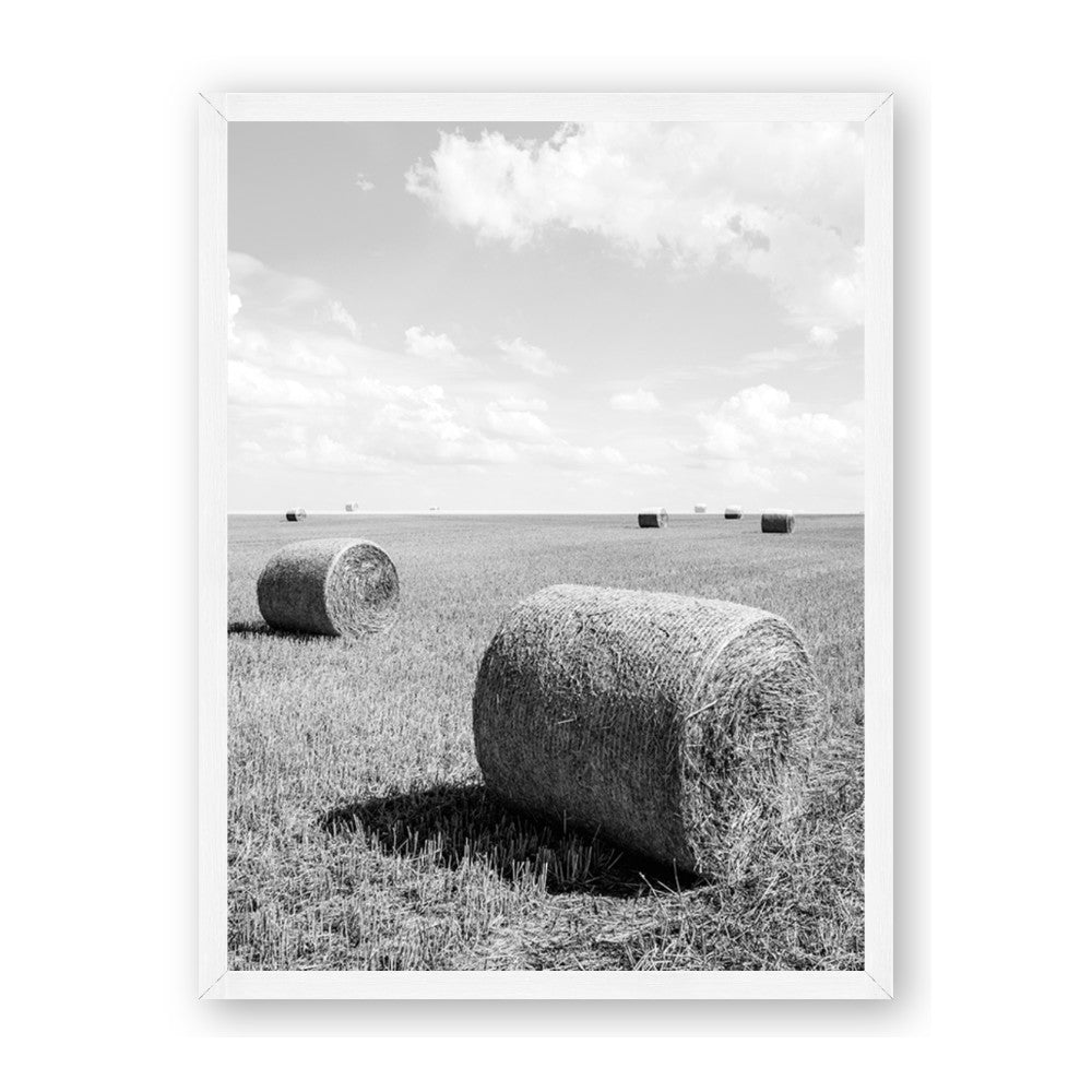 Hay Bail