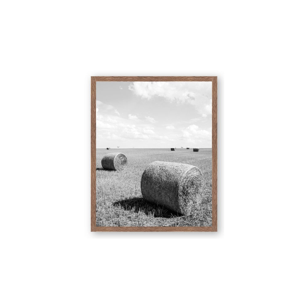 Hay Bail