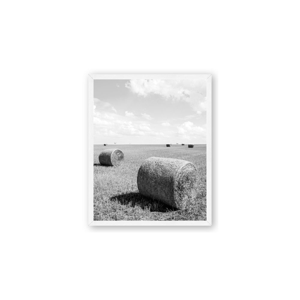 Hay Bail