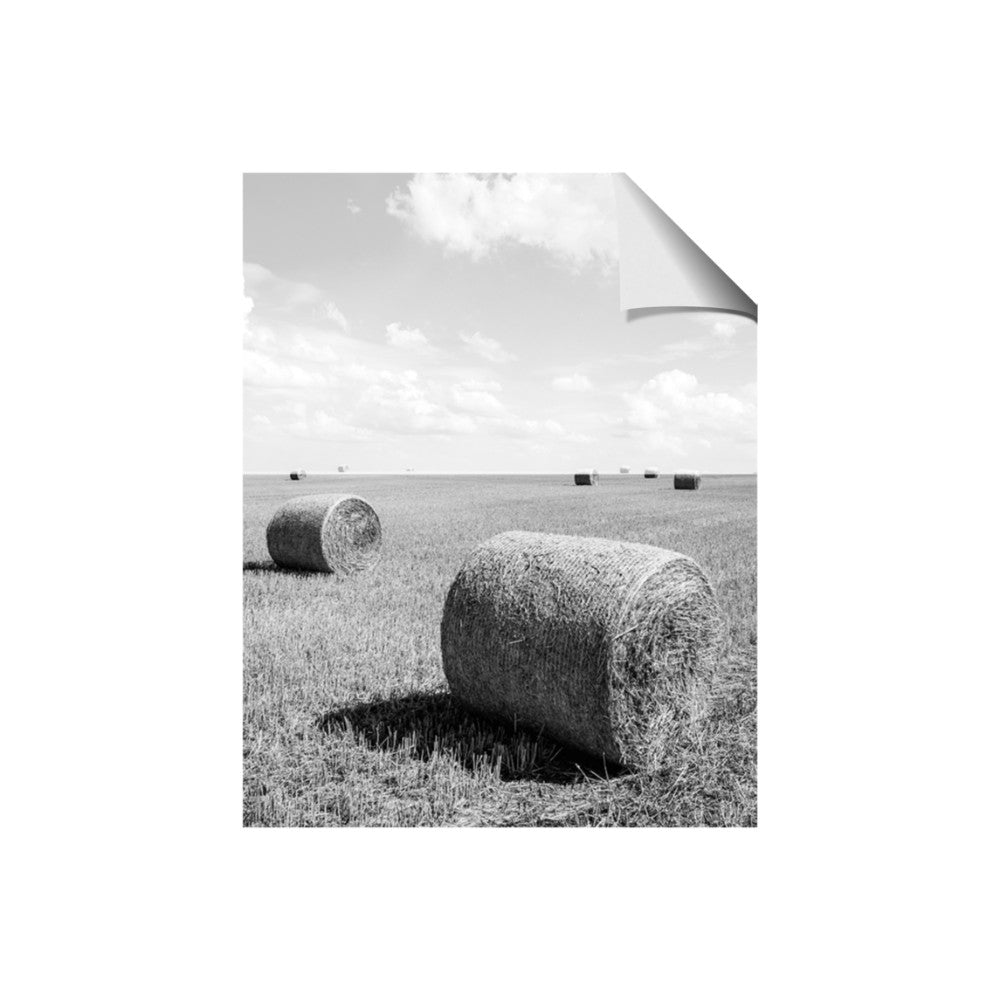 Hay Bail