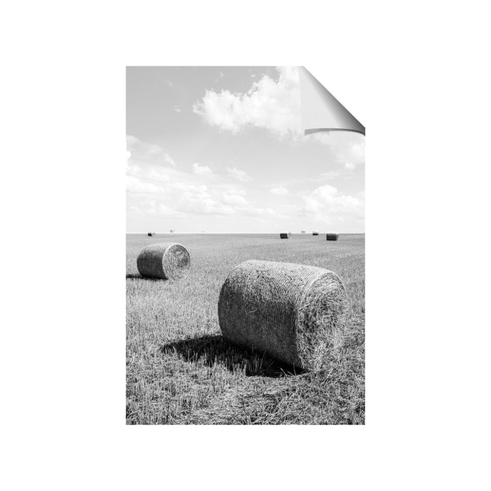 Hay Bail