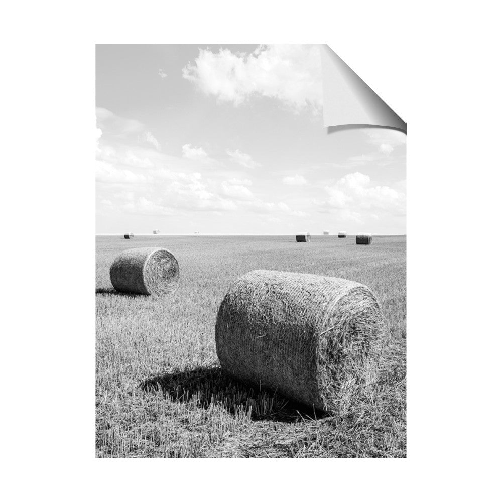 Hay Bail