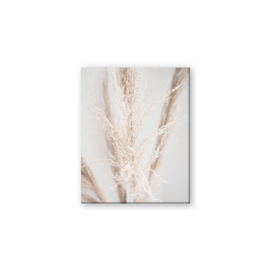 Whispy Pampas