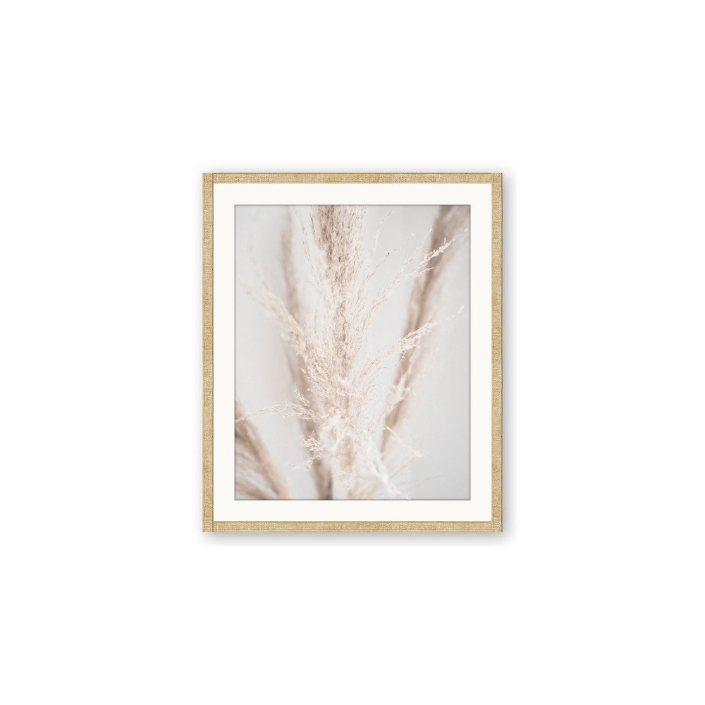Whispy Pampas