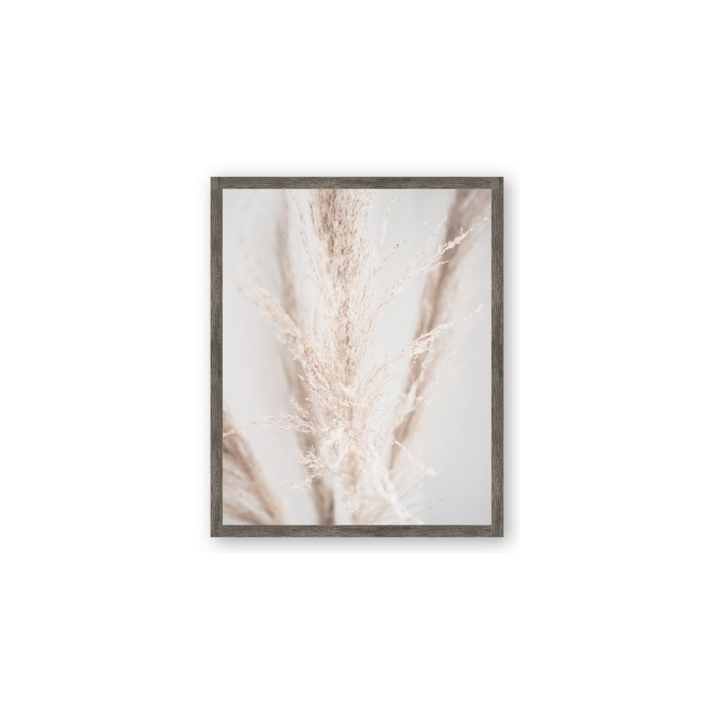 Whispy Pampas