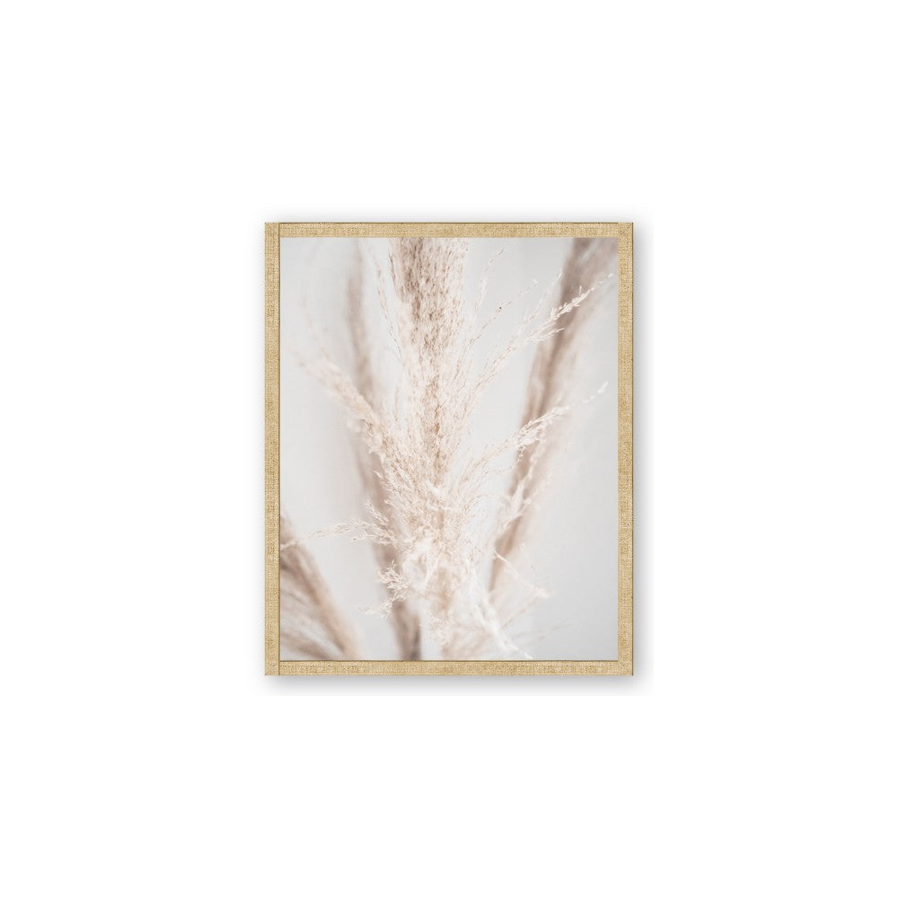 Whispy Pampas
